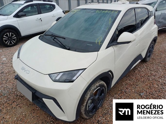 BYD DOLPHIN MINI 24/25